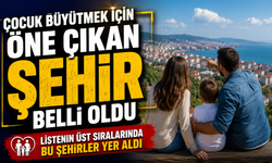 TÜİK Açıkladı: Çocuk Büyütmek İçin En İyi Şehir Belli Oldu