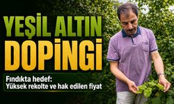 Fındıkta Yeni Sezon Beklentisi: Gözler Taban Fiyatta