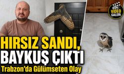 Hırsız Sandı, Karşısına Baykuş Çıktı: Trabzonlu Arıcının Gece Yaşadığı İlginç Anlar