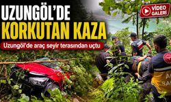 Uzungöl’de Korkutan Kaza: Araç Seyir Terasından Aşağıya Düştü