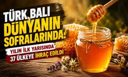 Türk Balı Dünyanın Sofralarında: Yılın İlk Yarısında 37 Ülkeye İhraç Edildi