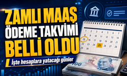 Zamlı Maaşlar İçin Geri Sayım Başladı, Memur ve Emekli Ödeme Takvimi Belli Oldu