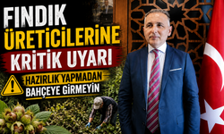 Fındık Üreticilerine Hasat Uyarısı: Hazırlık Yapmadan Bahçeye Girmeyin