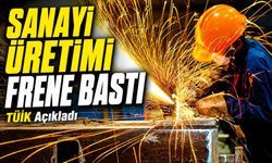 TÜİK Sanayi Üretim Verilerini Açıkladı: Sanayi Üretimi Frene Bastı