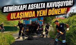Trabzon'un Gözde Yaylasında Yıllardır Beklenen Hizmet Başladı! Demirkapı Asfalta Kavuşuyor