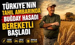 Türkiye’nin Tahıl Ambarında Buğday Hasadı Bereketli Başladı