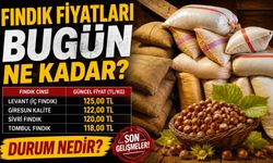 Fındık Fiyatlarında Son Dakika: Güncel Fındık Fiyatları Bugün Ne Kadar?