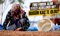 TMO Fındık Alım Fiyatı Açıklandı mı? Fındık Fiyatları Bugün Ne Kadar Oldu?