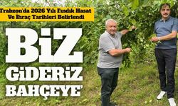 Trabzon’da 2026 Fındık Hasat Takvimi Açıklandı: Tarihler Belli Oldu
