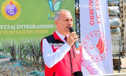 Ordu'da fındık üreticilerine hasat filesi dağıtıldı