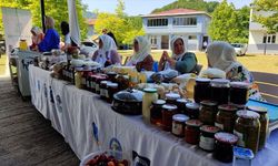 Samsun'da coğrafi işaretli Salıpazarı kestane balında hasat dönemi başladı