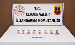 Yasaklı madde operasyonunda gözaltına alınan şüpheli tutuklandı