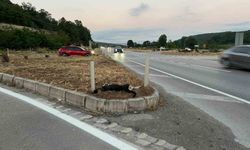 Köpeğe çarpan motosikletteki sürücü ve yolcu yaralandı