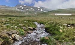 Ordu'nun yaylalarında yaz güzelliği