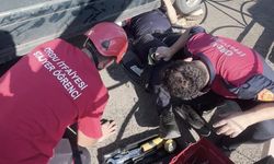 Otomobilin egzoz muhafazasına sıkışan yavru kedi kurtarıldı