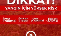 Valilikten Uyarı! 'Yeşil Vatan'ımızı hep birlikte koruyalım'