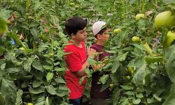 Anader Kadın Kolları’ndan Gençleri Toprakla Buluşturan Anlamlı Proje