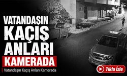 Rize’de Anne Ayı ve Yavrularıyla Karşılaştı: Kaçış Anları Kameraya Yansıdı
