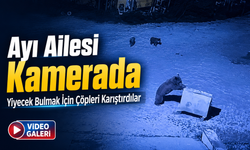 Rize’de Ayı Ailesinin Çöp Konteyneriyle Oyunu Kamerada