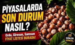 Fındık Piyasasında Son Dakika: Güncel Fındık Fiyatları Kaç TL?