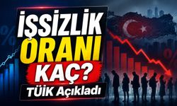 TÜİK Haziran Ayı İşsizlik Verilerini Açıkladı: İstihdamda Yeni Tablo