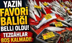 Av Yasağı Sürüyor, Tezgâhların Yaz Favorisi Belli Oldu