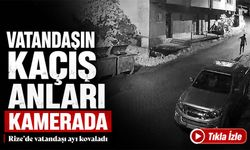 Rize’de Anne Ayı ve Yavrularıyla Karşılaştı: Kaçış Anları Kameraya Yansıdı