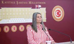 Suiçmez: Hukuk Devleti Olmaktan Uzaklaştık