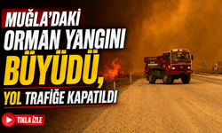 Muğla’daki Orman Yangını Büyüdü, Yol Trafiğe Kapatıldı