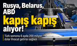 Somon 6 Ayda Türkiye'ye Kaç Bin Dolar Kazandırdı? Şok Veriler Açıklandı!