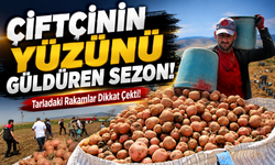 Amasya'da Patates Hasadı Başladı! 130 Bin Ton Rekolte Beklenirken Sanayilik Üretim Dikkat Çekti