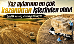 Yaz Aylarının Kazandıran İşi: Günlük Yevmiye 7 Bin Liraya Ulaşıyor