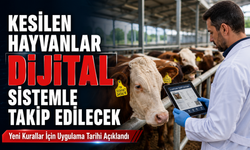 Kesimhanelerde Yeni Dönem Başlıyor: Tarih Belli Oldu