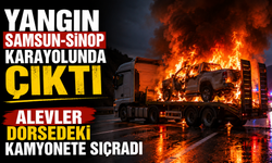 Samsun-Sinop Yolunda Korkutan Anlar: Alevler Bir Anda Yükseldi