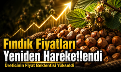 Fındık Fiyatlarında Beklenen Hareket Başladı: Gözler TMO’da
