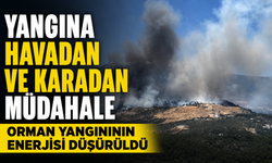 Orman Yangınının Enerjisi Düşürüldü