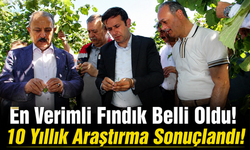 Trabzon'da Bilimsel Araştırma Tanıtıldı! Hangi Fındık Çeşidi Daha Verimli?