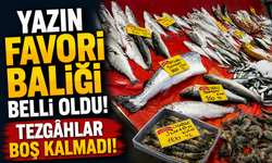 Av Yasağı Sürüyor, Tezgâhların Yaz Favorisi Belli Oldu