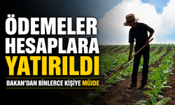 Ödemeler Hesaplara Yatırıldı: Bakan Yumaklı Binlerce Üreticiye Müjdeyi Verdi