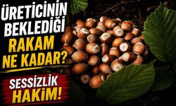 Fındık Piyasası Kilitlendi mi? Üreticinin Beklediği Rakam Ne Kadar?