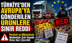 Türkiye’den Avrupa’ya Gönderilen Ürünlere Sınır Reddi; Pestisit ve Mikotoksin Nedeniyle Çok Sayıda Ürün Geri Çevrildi