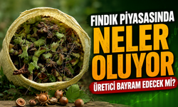Fındık Piyasasında Neler Oluyor: Üretici Bayram Edecek Mi?