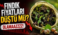 Serbest Piyasada Fındık Fiyatları Düştü mü? İşte İl İl Güncel Rakamlar