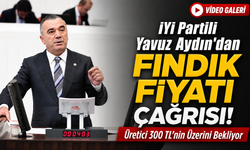 Yavuz Aydın: Fındık Üreticisi 300 Tl’nin Üzerini Bekliyor
