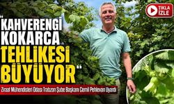 Ziraat Mühendisleri Odası Trabzon Şube Başkanı Cemil Pehlevan Uyardı: Kahverengi Kokarca Tehlikesi Büyüyor