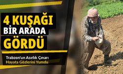 Trabzon'un Asırlık Çınarı Hayata Gözlerini Yumdu; 4 Kuşağı Bir Arada Gördü