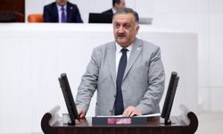 Karal’dan Arıcılık Desteğine ‘Deli Dumrul’ Tepkisi