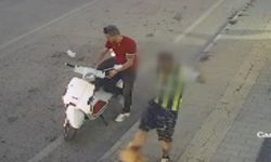 Kediye tekme atan şüpheli yakalandı
