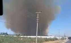 Antalya'da ormanlık alanda yangın: Havadan ve karadan müdahale sürüyor