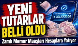 Zamlı Memur Maaşları Hesaplara Yatıyor: Yeni Tutarlar Belli Oldu